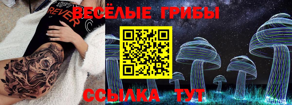 Снежинск  Галлюциногенные грибы Psilocybe  Вход с VPN 