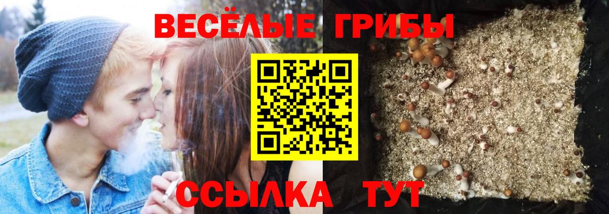 КОКАИН Снежинск