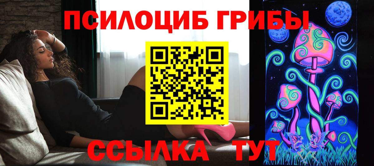 Псилоцибиновые грибы Psilocybe Снежинск